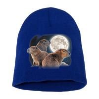 Three Capybaras And Moon Funny Capybara Humor Parody Short Acrylic Beanie