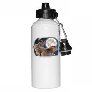 Three Capybaras And Moon Funny Capybara Humor Parody Aluminum Water Bottle