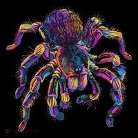 Tarantula Colourful Artwork Tarantula Lover Animal Art Drawstring Bag