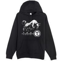 Tao Coin Bittensor Token In A Blockchain Crypto Bullrun Premium Pullover Hoodie