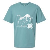 Tao Coin Bittensor Token In A Blockchain Crypto Bullrun Sueded Cloud Jersey T-Shirt