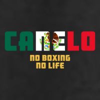 Team Canelo Boxing Alvarez Mexico Fight 7 Panel Mesh Trucker Snapback Hat