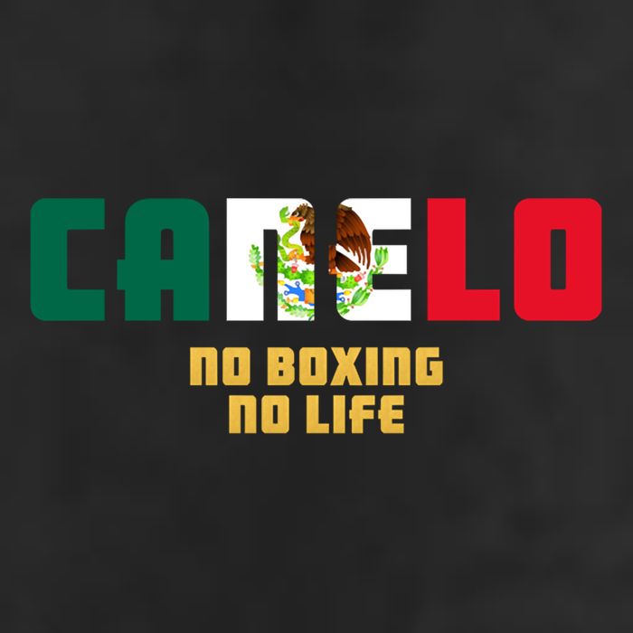 Team Canelo Boxing Alvarez Mexico Fight 7 Panel Mesh Trucker Snapback Hat