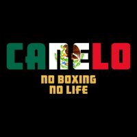 Team Canelo Boxing Alvarez Mexico Fight Womens Tank Top