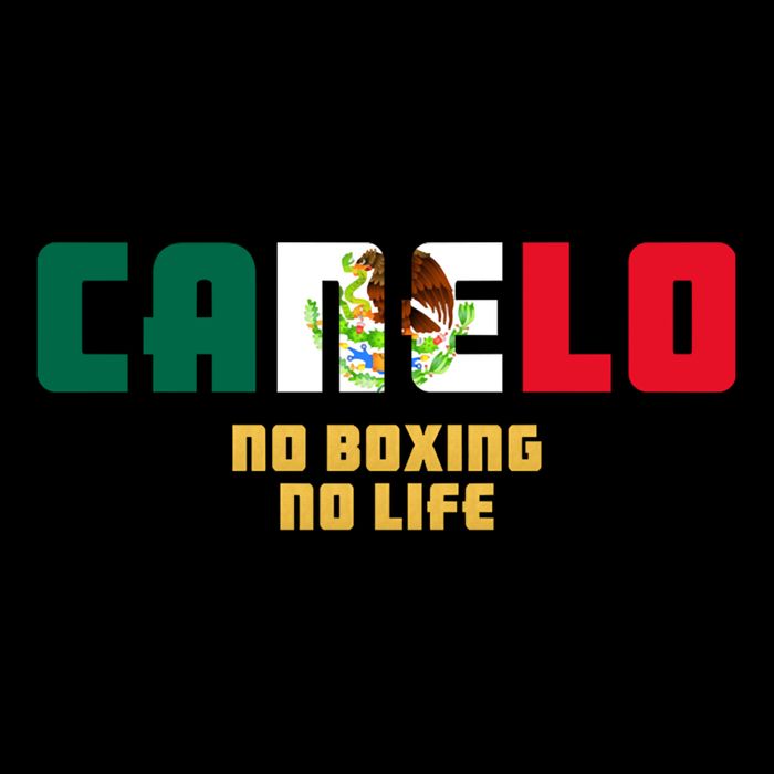 Team Canelo Boxing Alvarez Mexico Fight Womens Tank Top