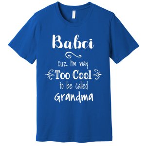 Too Cool Babci Poland Polish Grandma Funny Gift Premium T-Shirt