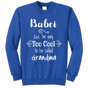 Too Cool Babci Poland Polish Grandma Funny Gift Tall Sweatshirt