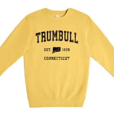 Trumbull Connecticut Ct Vintage Athletic Sports Premium Crewneck Sweatshirt