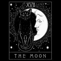 Tarot Card Crescent Moon And Cat Graphic Bag