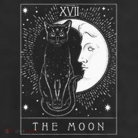 Tarot Card Crescent Moon And Cat Graphic 25L Jumbo Tote