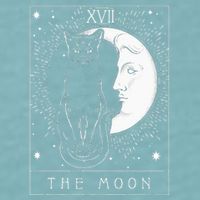 Tarot Card Crescent Moon And Cat Graphic Sueded Cloud Jersey T-Shirt