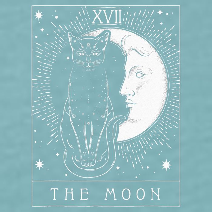 Tarot Card Crescent Moon And Cat Graphic Sueded Cloud Jersey T-Shirt