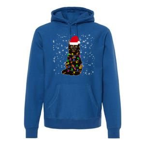 Tortie Cat Christmas Tortie Cat Xmas Party Tortoiseshell Cat Cute Gift Premium Hoodie