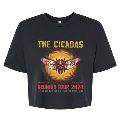 The Cicada Concert 2024 Year Of Cicada Bug Lover Nature Bella+Canvas Jersey Crop Tee