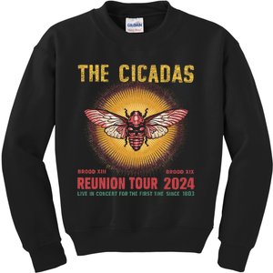 The Cicada Concert 2024 Year Of Cicada Bug Lover Nature Kids Sweatshirt