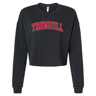 Trumbull Connecticut Ct Vintage Sports Cropped Pullover Crew