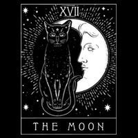 Tarot Card Crescent Moon And Cat Graphic 7-Panel Snapback Hat