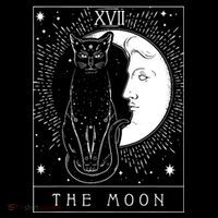 Tarot Card Crescent Moon And Cat Graphic 16 in Basic Backpack