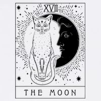 Tarot Card Crescent Moon And Cat Graphic Sustainable Bucket Hat