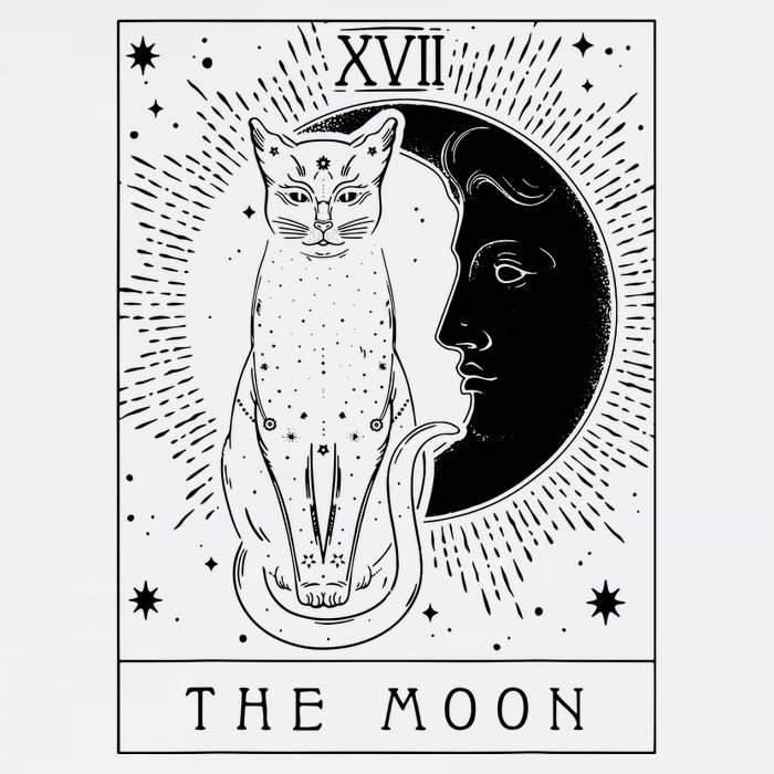Tarot Card Crescent Moon And Cat Graphic Short Acrylic Beanie