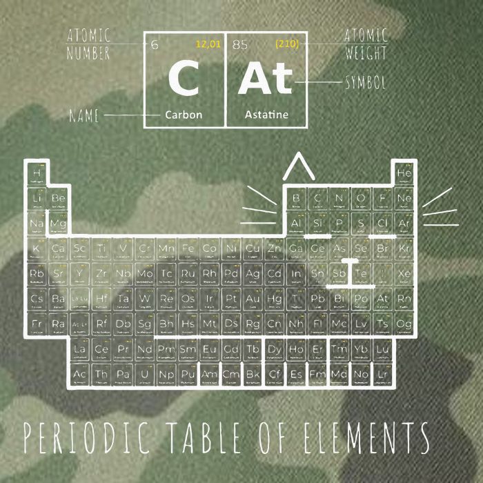 The Chemistry Cat Periodic Table Of Elements Legacy Tie Dye Trucker Hat