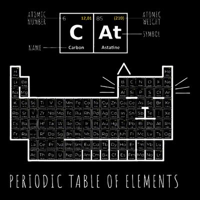 The Chemistry Cat Periodic Table Of Elements T-Shirt