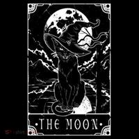 Tarot Card Crescent Moon And Black Cat Witch Hat Halloween Gift Flatbill Hat