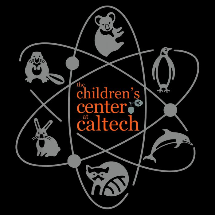 The Children's Center At Caltech  Wool Snapback Cap