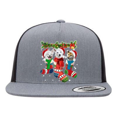 Three Canaan Dogs In Christmas Socks Flat Bill Trucker Hat