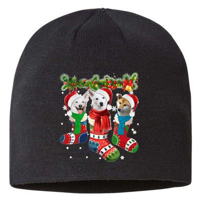 Three Canaan Dogs In Christmas Socks Sustainable Beanie