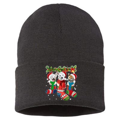 Three Canaan Dogs In Christmas Socks Sustainable Knit Beanie