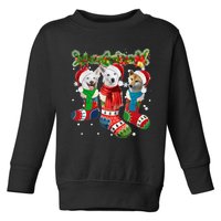 Three Canaan Dogs In Christmas Socks Toddler Sweatshirt