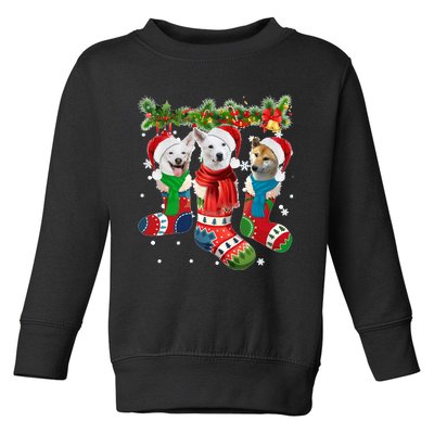 Three Canaan Dogs In Christmas Socks Toddler Sweatshirt