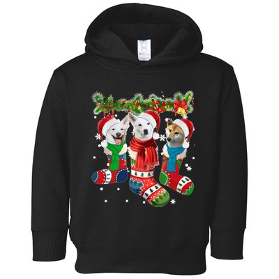 Three Canaan Dogs In Christmas Socks Toddler Hoodie