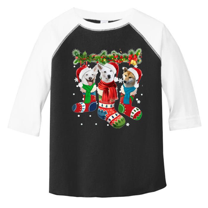 Three Canaan Dogs In Christmas Socks Toddler Fine Jersey T-Shirt