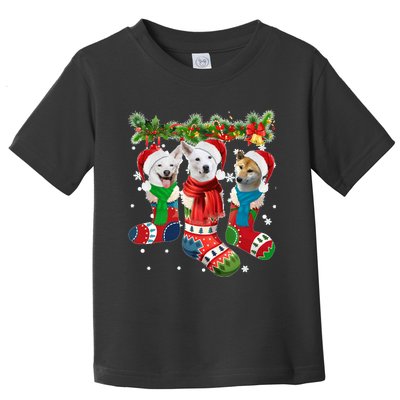 Three Canaan Dogs In Christmas Socks Toddler T-Shirt