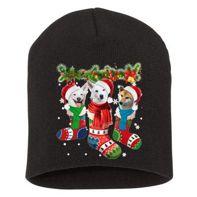 Three Canaan Dogs In Christmas Socks Short Acrylic Beanie