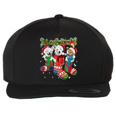 Three Canaan Dogs In Christmas Socks Wool Snapback Cap