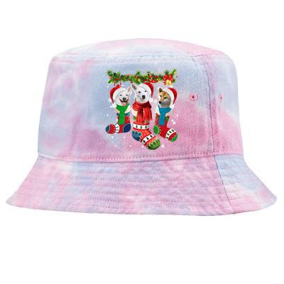 Three Canaan Dogs In Christmas Socks Tie-Dyed Bucket Hat