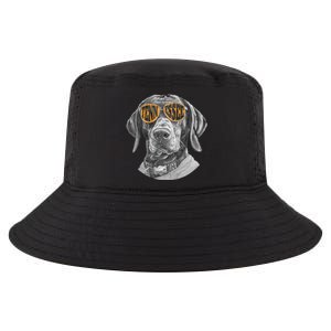 Tennessee Coonhound Dog Sport Lovers Tennessee Tri Stars Cool Comfort Performance Bucket Hat