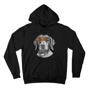 Tennessee Coonhound Dog Sport Lovers Tennessee Tri Stars Hoodie