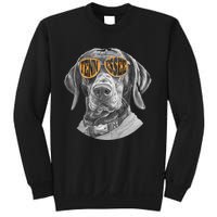 Tennessee Coonhound Dog Sport Lovers Tennessee Tri Stars Sweatshirt