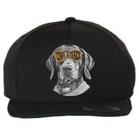 Tennessee Coonhound Dog Sport Lovers Tennessee Tri Stars Wool Snapback Cap