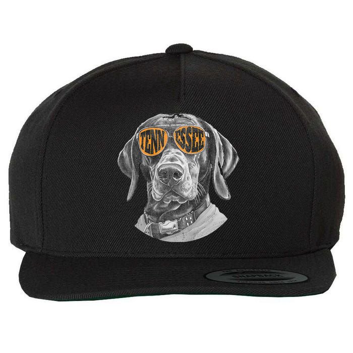 Tennessee Coonhound Dog Sport Lovers Tennessee Tri Stars Wool Snapback Cap