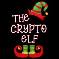 The Crypto Elf Funny Family Matching Christmas Premium T-Shirt