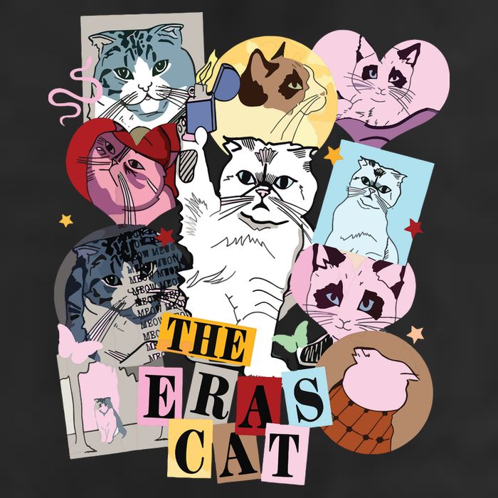 The Cat Eras In My Cat Mom Era Cat Lover 7 Panel Mesh Trucker Snapback Hat