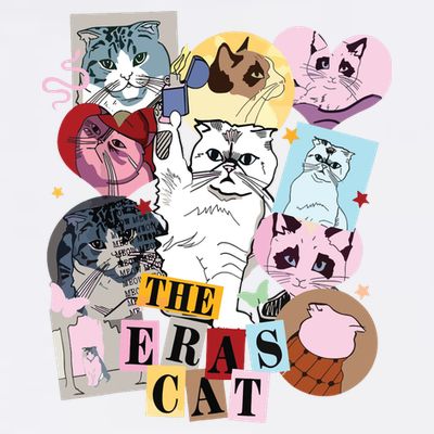 The Cat Eras In My Cat Mom Era Cat Lover T-Shirt