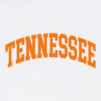 Tennessee Classic Font State Name Design Garment-Dyed Sweatshirt