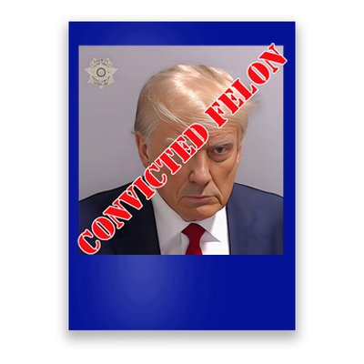 Trump Convicted Felon Poster