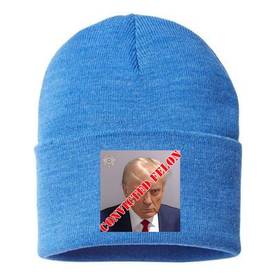 Trump Convicted Felon Sustainable Knit Beanie